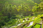 Tour du lịch Bali - Khách sạn 5 sao